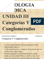 Leccion 3 Categorias y Conglomerados