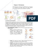 Tema 3 Tejidos