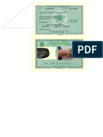 PDF RG Pi