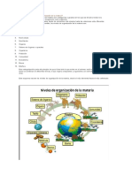 Cuáles Son Los Niveles de Organización de La Materia