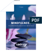 Mindfulness Pela Percepção Holística e Metafísica - Tiberio Z