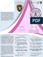 Alerta Rosa Brochure