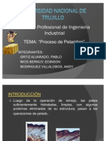 Proceso de Pelambre