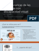 Características de Las Personas Con Discapacidad Visual - Irene Puentes