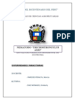 Informe - Thichostrongylus