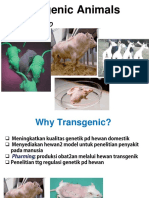 Kul 5 Transgenic Animals