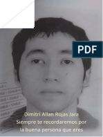 Dimitri Allan Rojas Jara