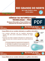 Potencial Elétrico, Superfície Equipotencial, Densidade de Carga e Capacitância