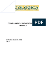 PANCREATITIS CRONICA (Favaro 38427)