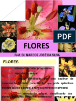 Flores Introdução 