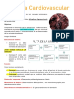 Materia Patología Especial Quinto Semestre