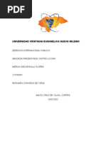RESUMEN CONVENIO DE VIENA