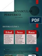 Sistema Vascular Periférico: Sexto Semestre