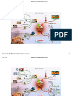 Mapa Mental Del Calentamiento Global 