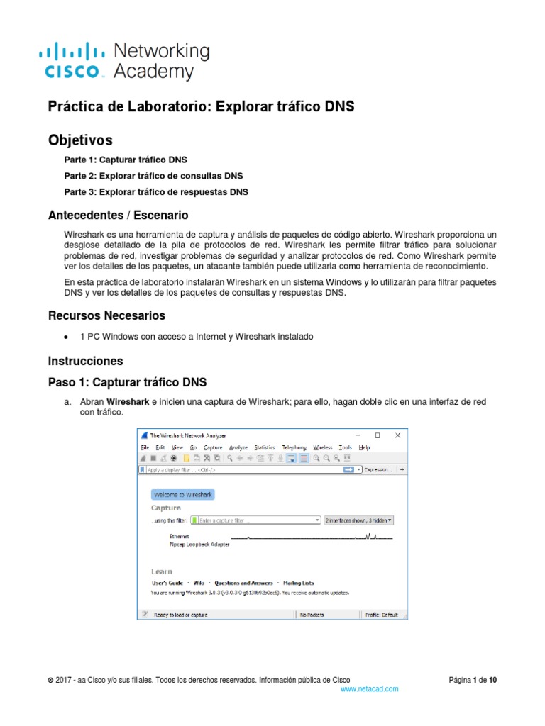 3.8.8 Lab Explore Dns Traffic Es XL PDF sistema de nombres de