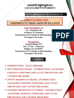 Important Diseases of Plants - Rust, Downy Mildews and Powdery Mildews