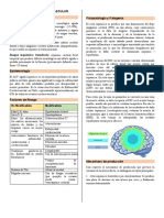 Accidente Cerebrovascular Conceptos Fisiopatología y Patogenia