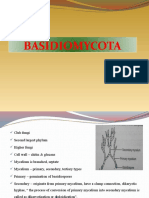 Basidiomycota: Characteristics of Club Fungi and Important Rust and Smut Diseases