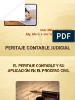 Peritaje Contable Judicial Semana 12