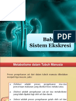 Sistem Ekskresi 