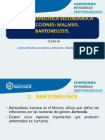 Clase 5 Anemias Hemoliticas No Inmune. Bartonerlla Malaria