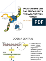 Irsan - POLIMORFISME DAN PROTEIN