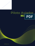 Piloto Aviador Privado de Ala Fija