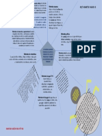 Mapa Telaraña