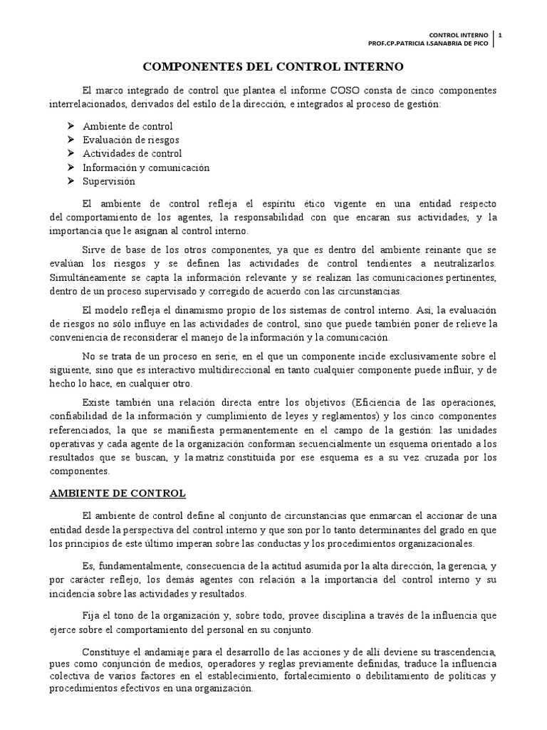 Componentes Del Control Interno | PDF | Evaluación | Ingeniería de ...