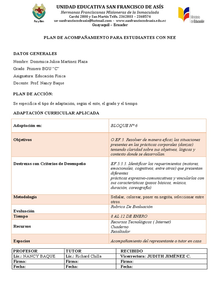 Plan de Acompañamiento NEE 1er BGU | PDF | Evaluación | Ecuador