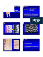 Preparo biomecânico dos canais radiculares