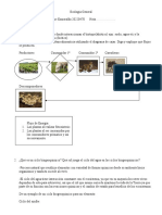 Correa Machare - Examen de Medio Curso Ecogeneral