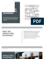 Types of Agricultural Enterprises