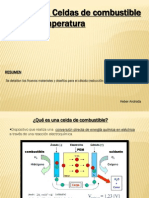 Celdas de Combustibles PEM