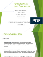 Kelompok 3 Manajemen SDM (1)