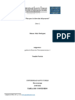 Plan para La Dirección Del Proyecto