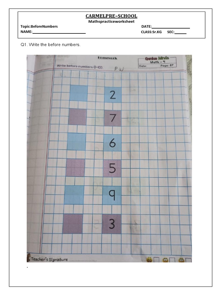 Before Numbers | PDF