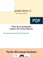 Partes Del Cuerpo Humano Ciencias Naturales Segundo Básico A