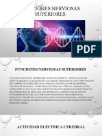 Funciones Nerviosas Cerebrales