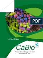 FICHA TECNICA CABIO 2021 pdf (2)