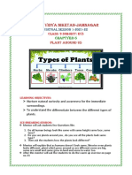 Nand Vidya Niketan-Jamnagar: Plant Around Us