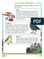 Birds in Your Garden Differentiated Reading Comprehension Activity