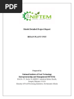 Besan Plant DPR by Niftem