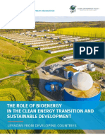 2021 Unido The Role of Bioenergy in The Clean Energy Transition and Sustainable Development