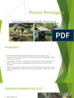 Potensi Perniagaan Kelulut Final