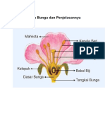 Bagian Bunga Dan Penjelasannya