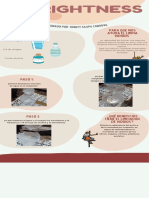 Infografia Evolucion Humana Ilustrado Colores Neutrales