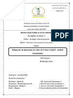 Diagnostic de Plantation de Cèdre de L'atlas À Djebel - Ouahch (Constantine)