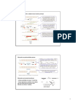 Hibridacion Molecular-Parte 4