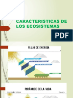 Caracteristicas de Los Ecosistemas